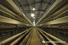 bob手机客户端:美农生物2025年前三季度每10股派1元 股权登记日为2026年1月6日