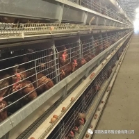 bob手机客户端:广东登鼎律师事务所 